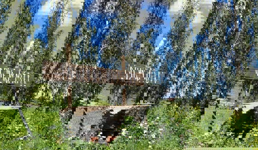 flasker med eplemost