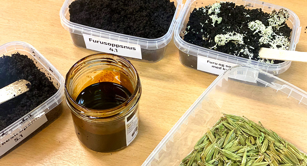 Lokalprodusert snus med smak av Trøndelag