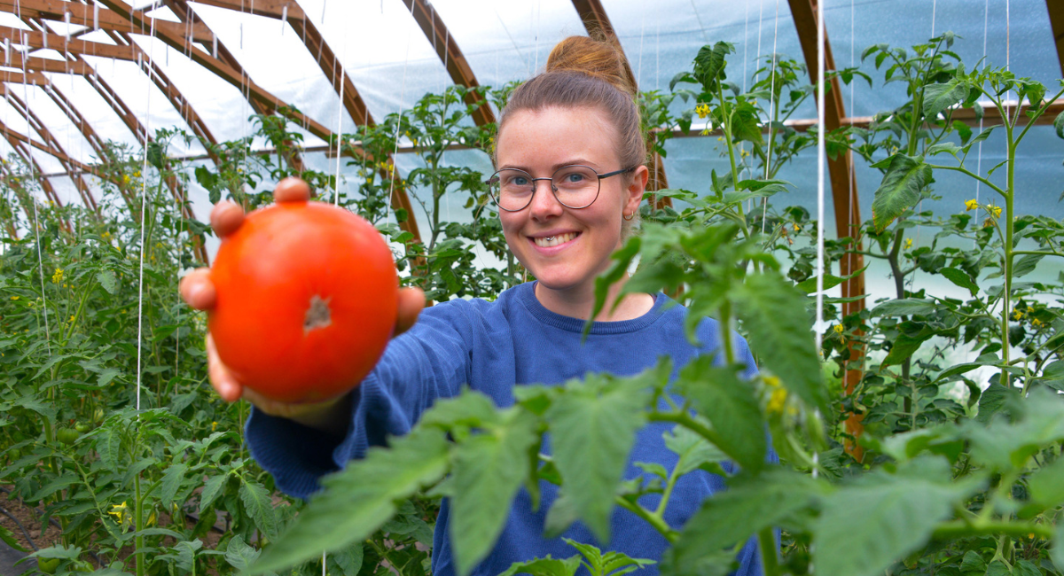 Sanselige mat- og drikkeopplevelser under ØkoUka i Trøndelag