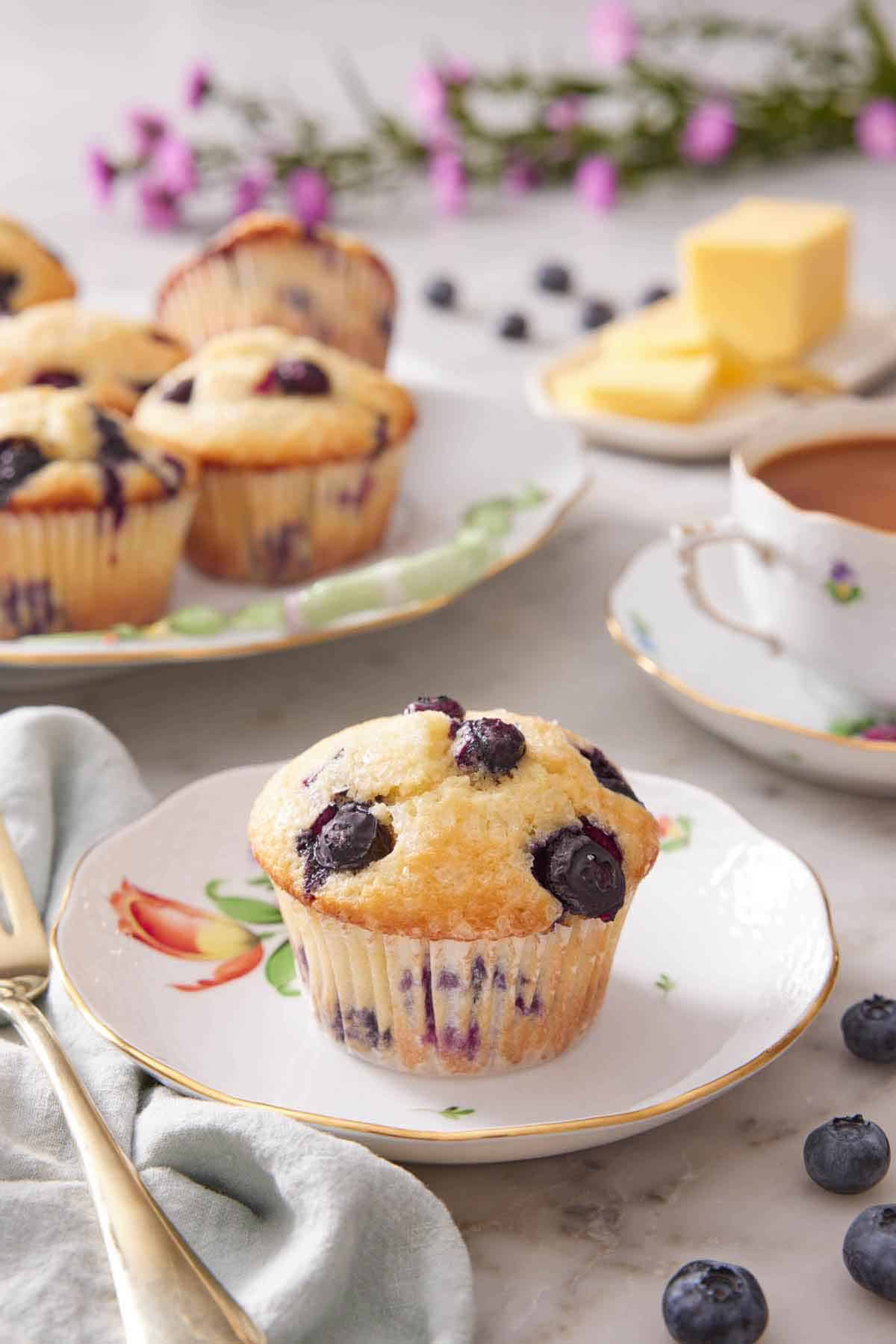 Blueberry Muffins